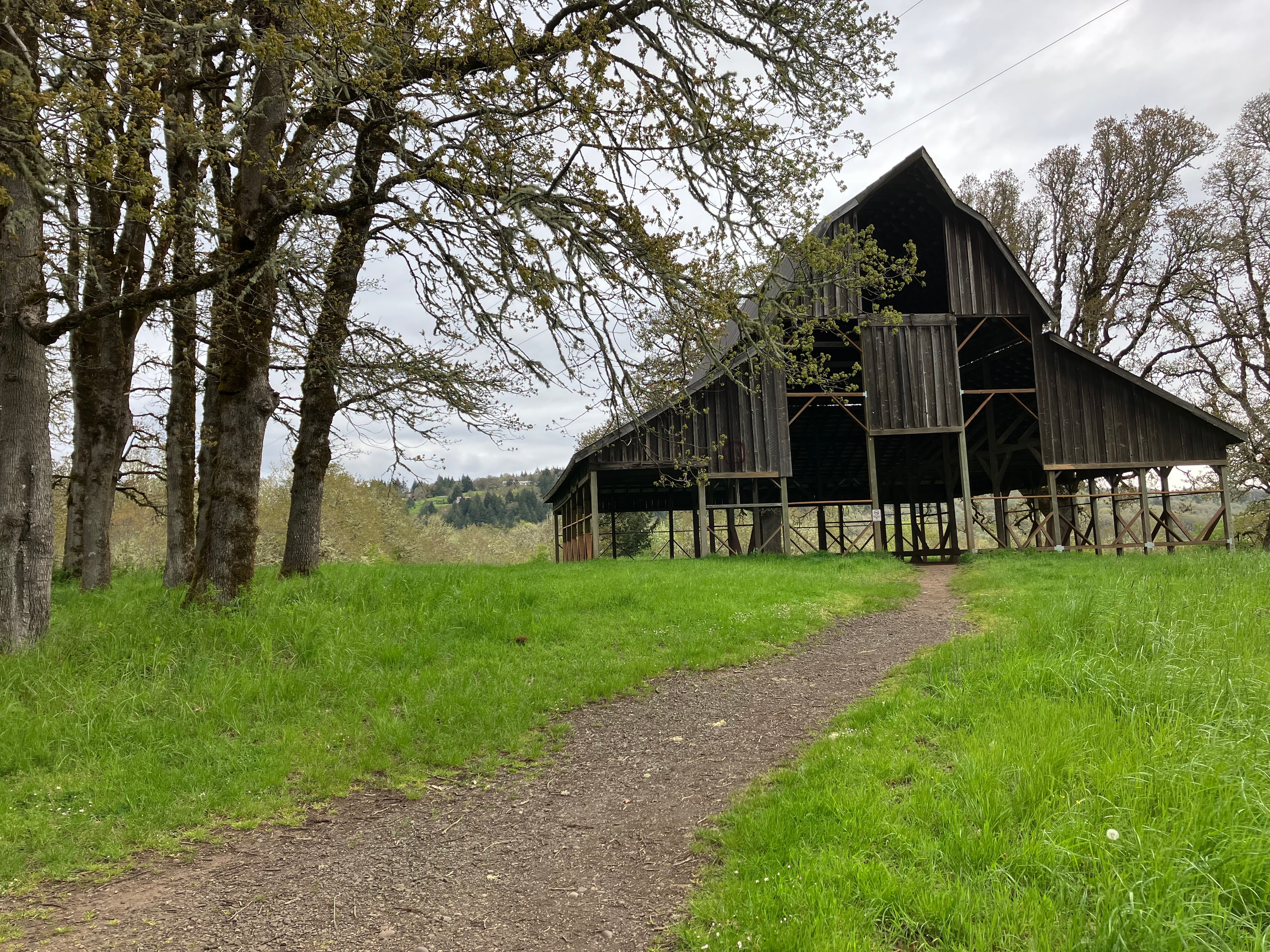 Explore the Town